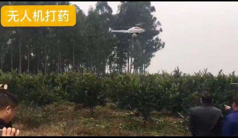 飛機打藥.jpg 飛機打藥.jpg