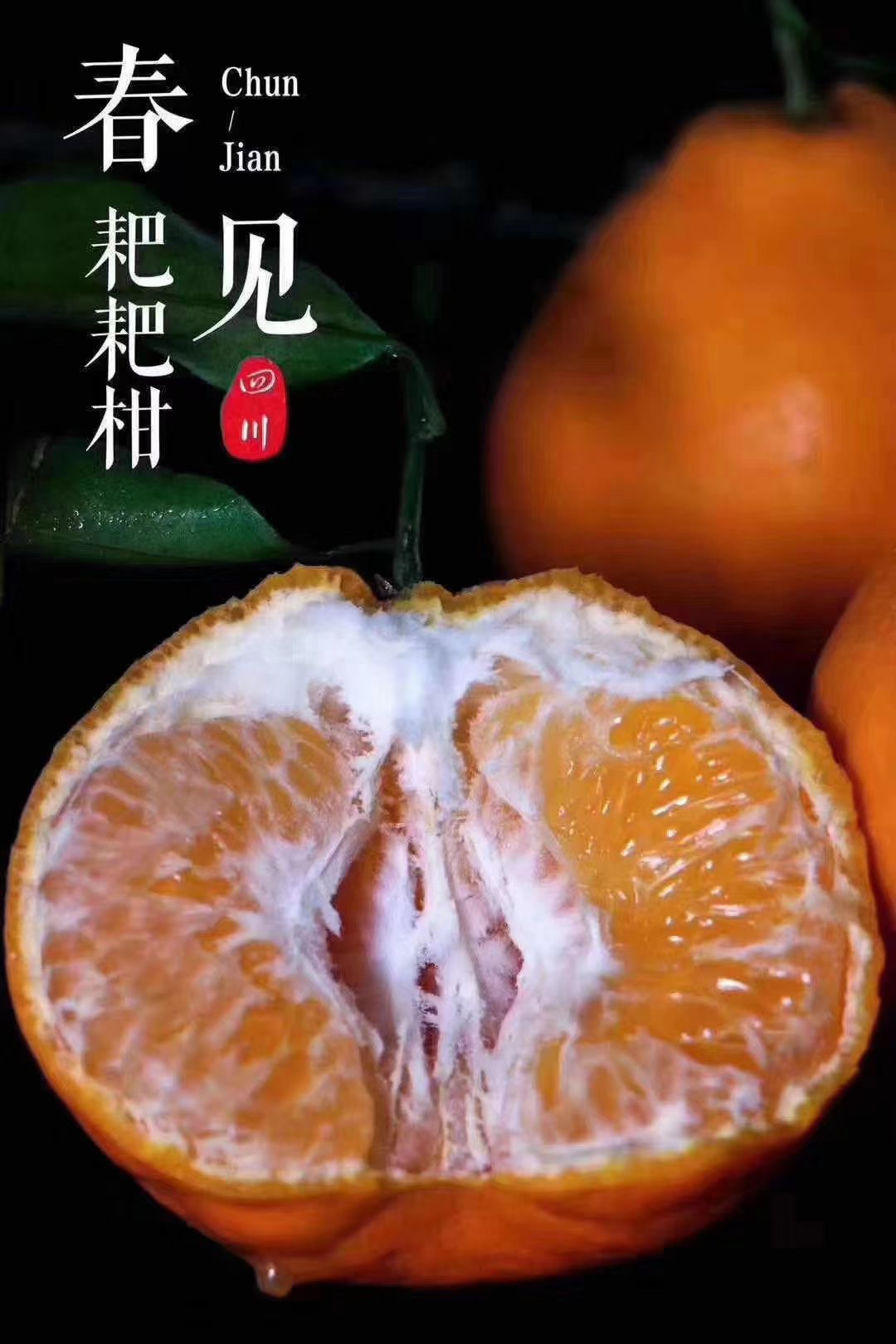 耙耙柑2.jpg 耙耙柑2.jpg